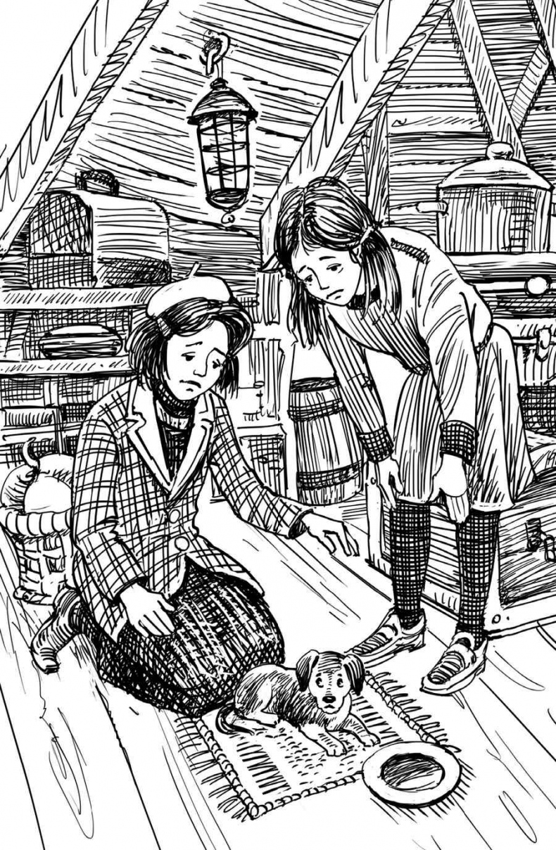 Иллюстрация к книге — Близнецы в школе Сент-Клэр [i_043.jpg]