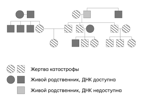 Иллюстрация к книге — Думай «почему?». Причина и следствие как ключ к мышлению [i_022.jpg]