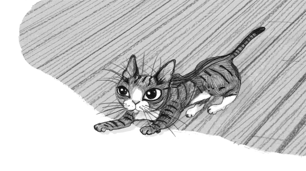 Иллюстрация к книге — Проклятие кошачьего папируса [i_007.jpg]