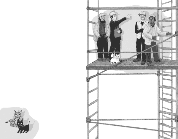 Иллюстрация к книге — Проклятие кошачьего папируса [i_011.jpg]