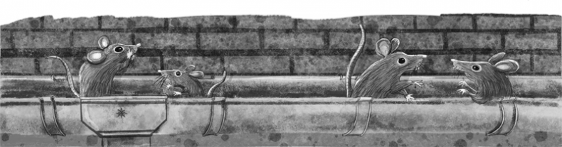 Иллюстрация к книге — Проклятие кошачьего папируса [i_020.jpg]