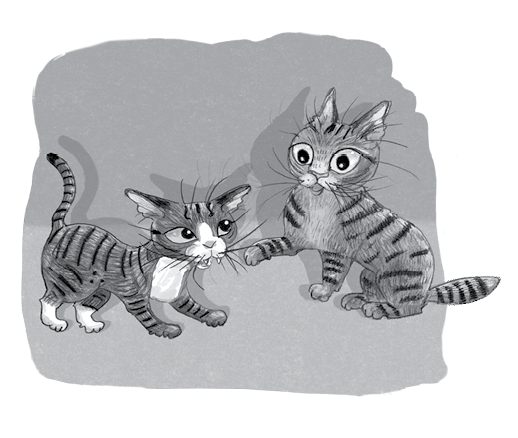 Иллюстрация к книге — Бутербродный вор [i_025.jpg]