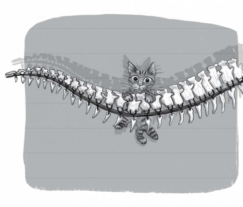 Иллюстрация к книге — Бутербродный вор [i_043.jpg]