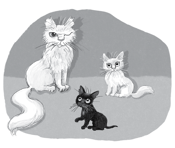 Иллюстрация к книге — Бутербродный вор [i_050.jpg]