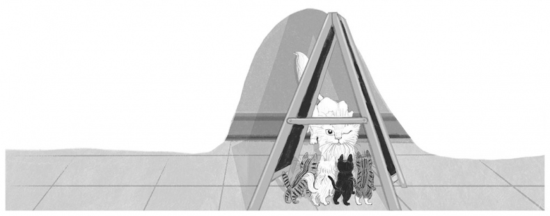 Иллюстрация к книге — Тайный дневник кота Бориса [i_023.jpg]