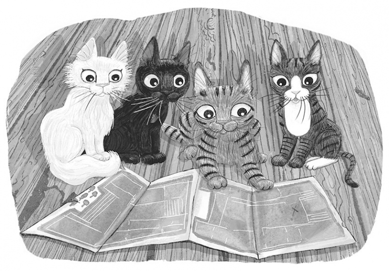 Иллюстрация к книге — Тайный дневник кота Бориса [i_032.jpg]