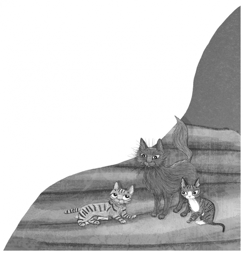 Иллюстрация к книге — Тайный дневник кота Бориса [i_039.jpg]