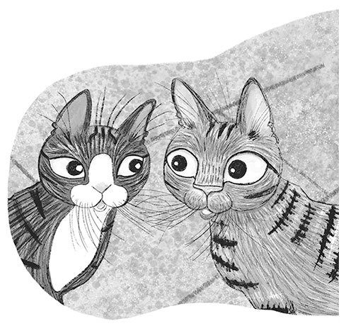 Иллюстрация к книге — Тайный дневник кота Бориса [i_050.jpg]