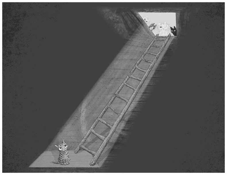 Иллюстрация к книге — Тайный дневник кота Бориса [i_053.jpg]