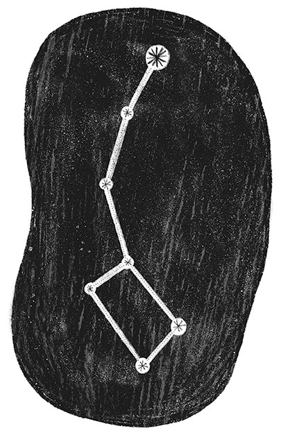 Иллюстрация к книге — Тайный дневник кота Бориса [i_060.jpg]