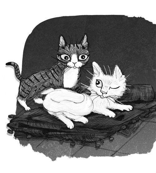 Иллюстрация к книге — Ночёвка с грабителями [i_010.jpg]