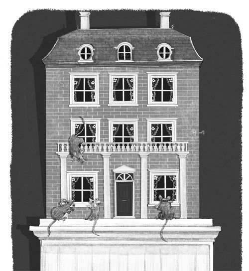 Иллюстрация к книге — Ночёвка с грабителями [i_011.jpg]