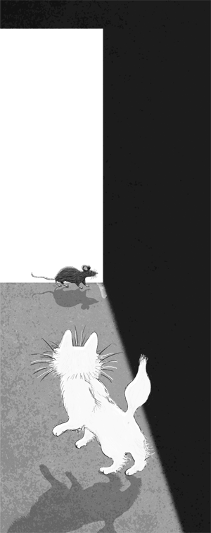 Иллюстрация к книге — Ночёвка с грабителями [i_020.jpg]