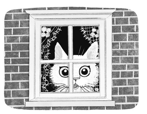 Иллюстрация к книге — Ночёвка с грабителями [i_023.jpg]