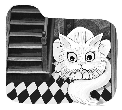 Иллюстрация к книге — Ночёвка с грабителями [i_024.jpg]