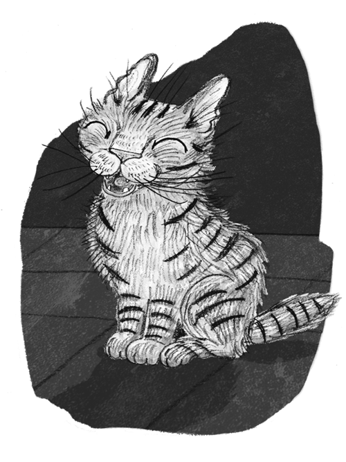 Иллюстрация к книге — Ночёвка с грабителями [i_027.jpg]