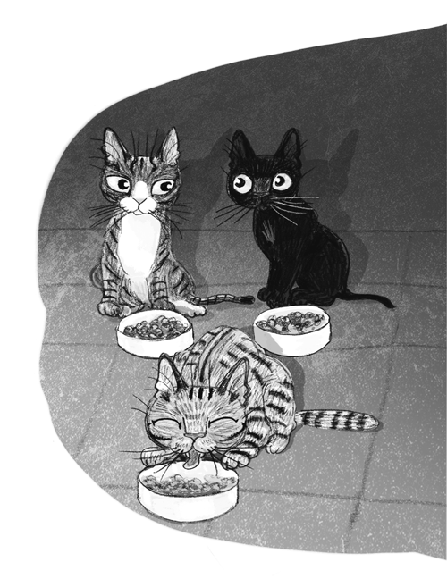 Иллюстрация к книге — Ночёвка с грабителями [i_034.jpg]