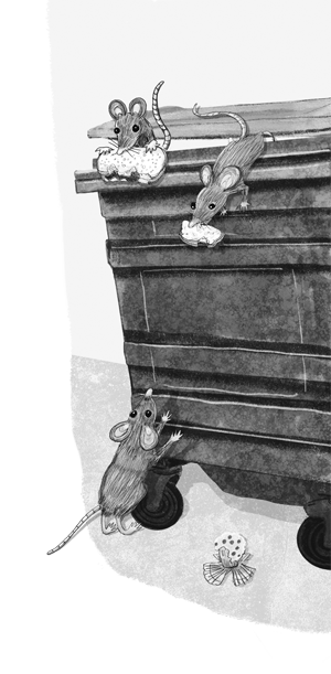 Иллюстрация к книге — Ночёвка с грабителями [i_042.jpg]