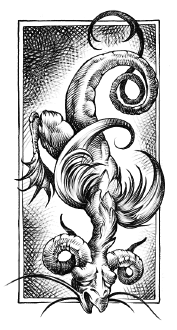 Иллюстрация к книге — Хозяйка Шварцвальда [i_010.jpg]