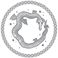 Иллюстрация к книге — Восходящий. Магия дракона [block_005446_2801.jpg]