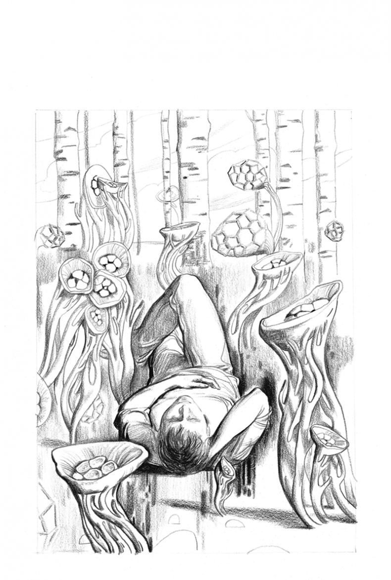 Иллюстрация к книге — Звонок из Мемфиса [i_002.jpg]