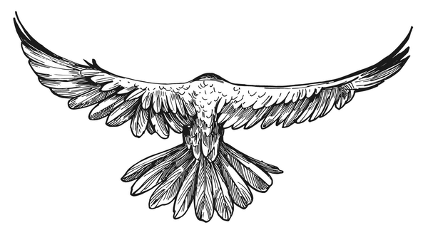 Иллюстрация к книге — Отель в облаках [i_002.jpg]