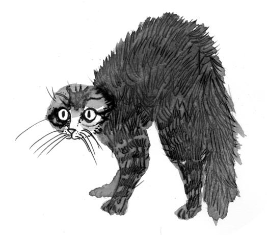 Иллюстрация к книге — Не моргай! [i_004.jpg]