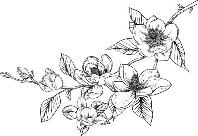 Иллюстрация к книге — Сила и ярость Юга [i_002.jpg]