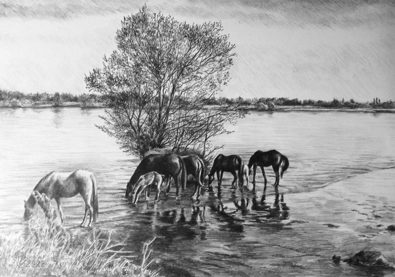 Иллюстрация к книге — Мертвый невод Егора Лисицы [i_005.jpg]