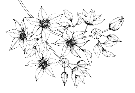 Иллюстрация к книге — Непокорный рыцарь [i_003.jpg]