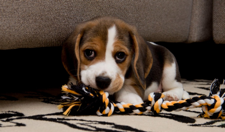 Иллюстрация к книге — Марат. Любить вопреки [fced0235-a179-4b71-9ef6-8aae110e6d01.jpg]