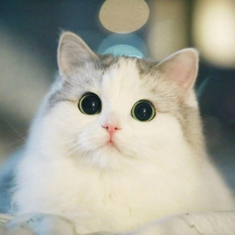 Иллюстрация к книге — Медорфенов. Пустоши [image2.jpg]