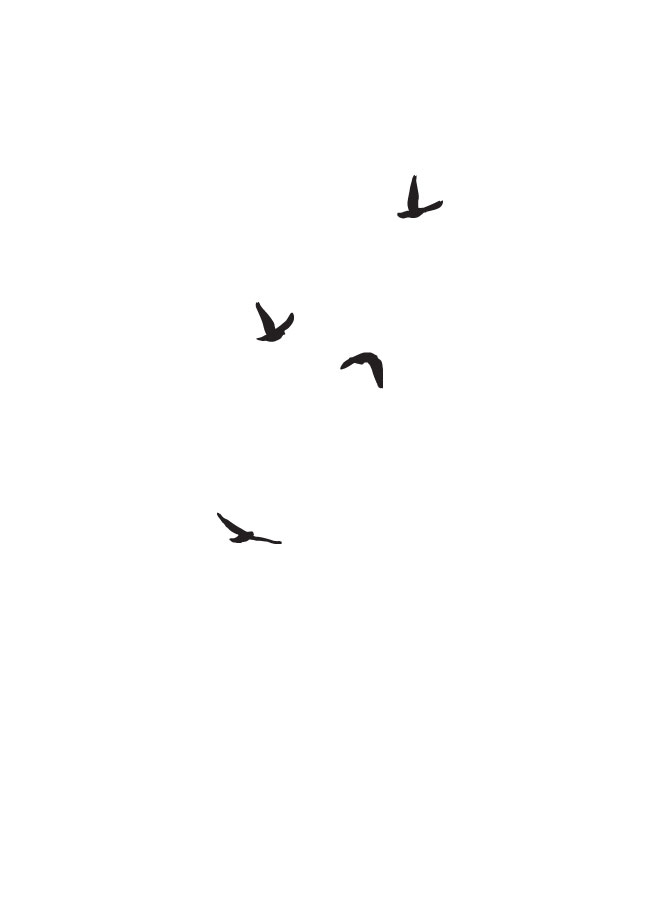 Иллюстрация к книге — Золотая девочка [i_001.jpg]