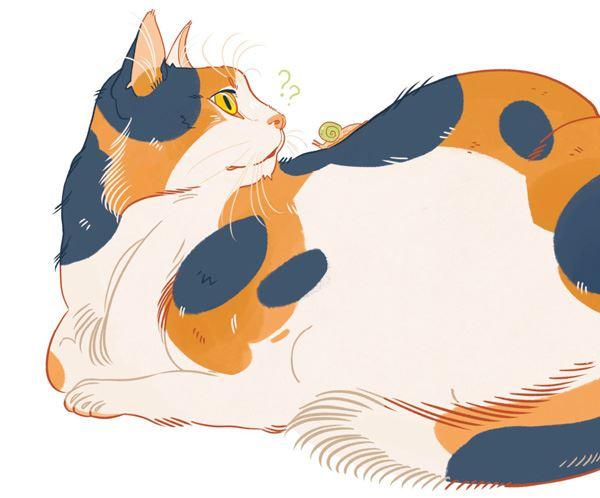 Иллюстрация к книге — Секреты кошек. Как понять кошку и стать ей другом [i_006.jpg]