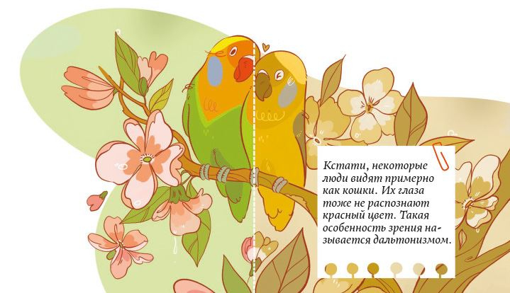 Иллюстрация к книге — Секреты кошек. Как понять кошку и стать ей другом [i_007.jpg]