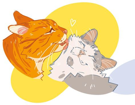 Иллюстрация к книге — Секреты кошек. Как понять кошку и стать ей другом [i_016.jpg]