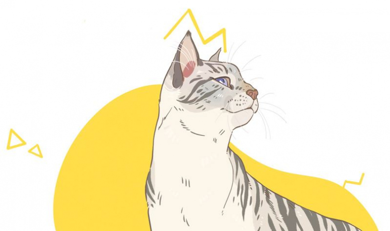 Иллюстрация к книге — Секреты кошек. Как понять кошку и стать ей другом [i_020.jpg]