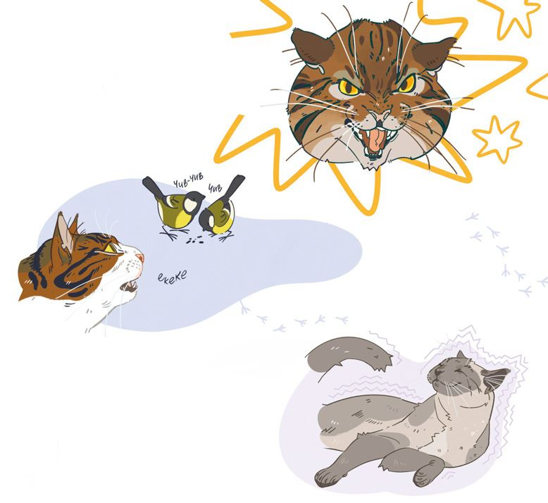 Иллюстрация к книге — Секреты кошек. Как понять кошку и стать ей другом [i_026.jpg]