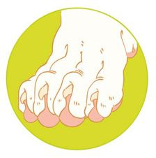 Иллюстрация к книге — Секреты кошек. Как понять кошку и стать ей другом [i_029.jpg]