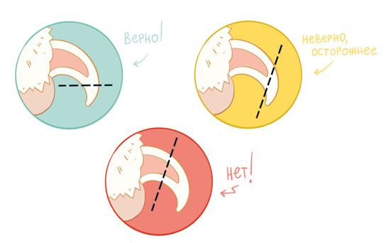 Иллюстрация к книге — Секреты кошек. Как понять кошку и стать ей другом [i_031.jpg]