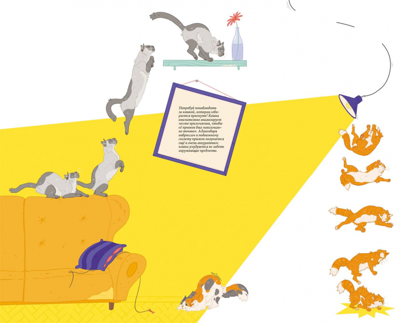 Иллюстрация к книге — Секреты кошек. Как понять кошку и стать ей другом [i_032.jpg]