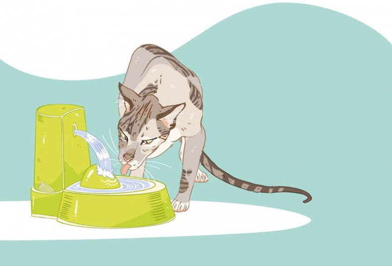 Иллюстрация к книге — Секреты кошек. Как понять кошку и стать ей другом [i_044.jpg]