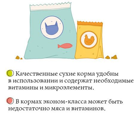 Иллюстрация к книге — Секреты кошек. Как понять кошку и стать ей другом [i_047.jpg]