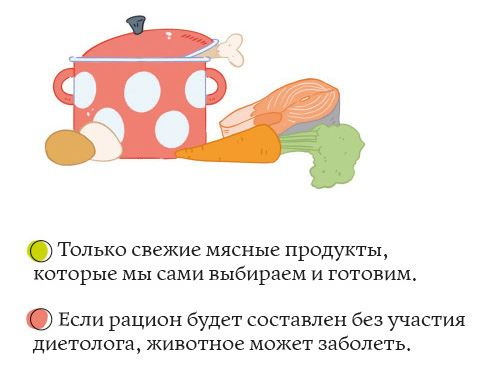 Иллюстрация к книге — Секреты кошек. Как понять кошку и стать ей другом [i_049.jpg]