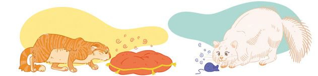 Иллюстрация к книге — Секреты кошек. Как понять кошку и стать ей другом [i_055.jpg]