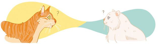 Иллюстрация к книге — Секреты кошек. Как понять кошку и стать ей другом [i_056.jpg]