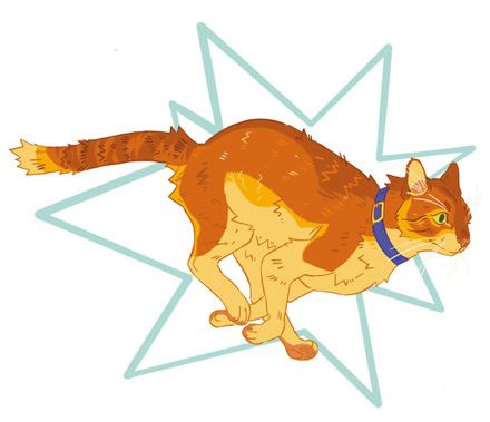 Иллюстрация к книге — Секреты кошек. Как понять кошку и стать ей другом [i_062.jpg]