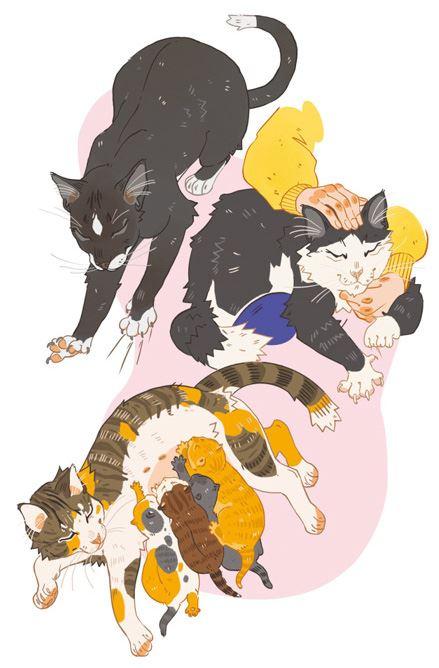 Иллюстрация к книге — Секреты кошек. Как понять кошку и стать ей другом [i_064.jpg]