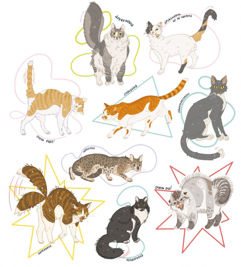 Иллюстрация к книге — Секреты кошек. Как понять кошку и стать ей другом [i_065.jpg]