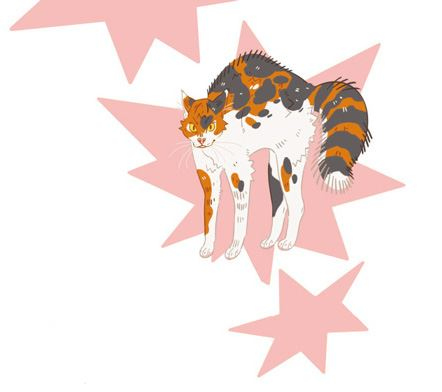 Иллюстрация к книге — Секреты кошек. Как понять кошку и стать ей другом [i_067.jpg]